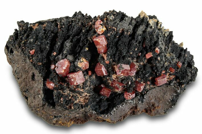 Small Red Vanadinite Crystals on Goethite - Morocco #292897